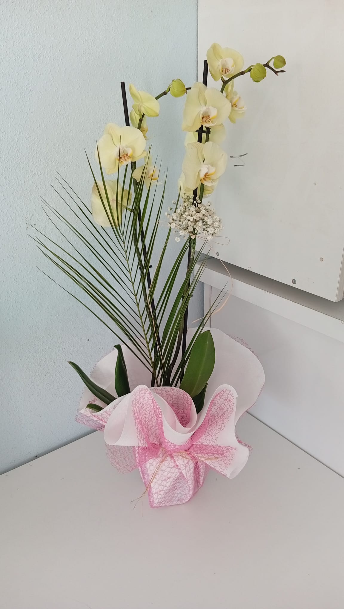 Ülküm Çiçekçilik